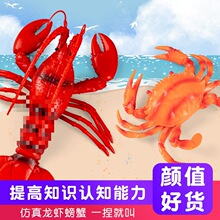 ��Ҧ��ͯ���СŮ�����r����ģ�͔[��������������Α��к��J֪��