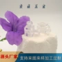 四方亚克力六孔六面螺母