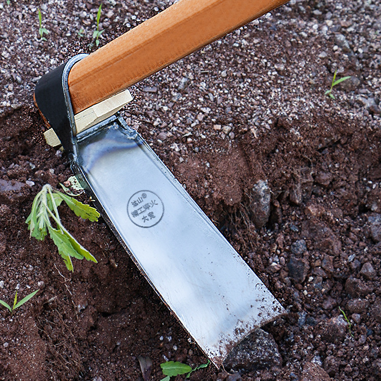 老式弹簧钢农用锄头家用种菜锰钢一体挖地开荒工具挖笋专用大锄头