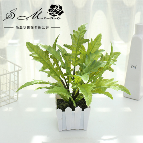 Plastic Spring Fern Plant Pot Landscape Factory Direct Supply Artificial Plant Indoor Ornament Artificial Flower One Piece Dropshipping Green Plant