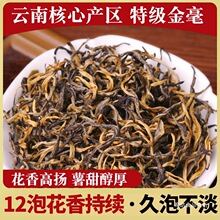 500˽zt 2025~ Pc͸ɽѿŘ һ