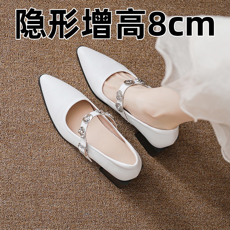 Retro Niche Pointed-Toe Elegant Metal Buckle Strap Thick-Heeled Mary Jane Shoes Versatile Commuting French Evening Shoes