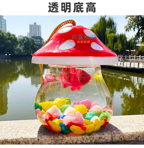 Small fish bottle stall plastic goldfish bottle turtle bottle portable cartoon QQ bottle goldfish tank jellyfish bottle transparent turtle box