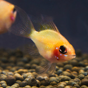 �����~���w�Ꭷ�~�^�p�����~Ⱥ���~�ݸ��~��ˮС���~