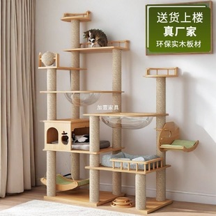 ���͌�ľ؈����һ�w�ļ�ͨ���؈�Ӵ�ץ��̫��œ��؈���ץ����ĥ