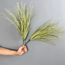 ���R�d�����m����ܛ�bֲ��Gֲ�����쾰�b����켚���m���~ˮ��