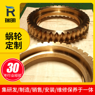Ruiming Reducer Plant Sales Plane Secondary Envelope Toroidal Worm Gear Worm Support Customized According to the Drawing