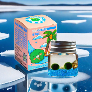 Marimo Seaweed Ball Ecological Bottle Water Algae Ball Plant Creative Mini Potted Micro Landscape Indoor Desktop Small Ornaments