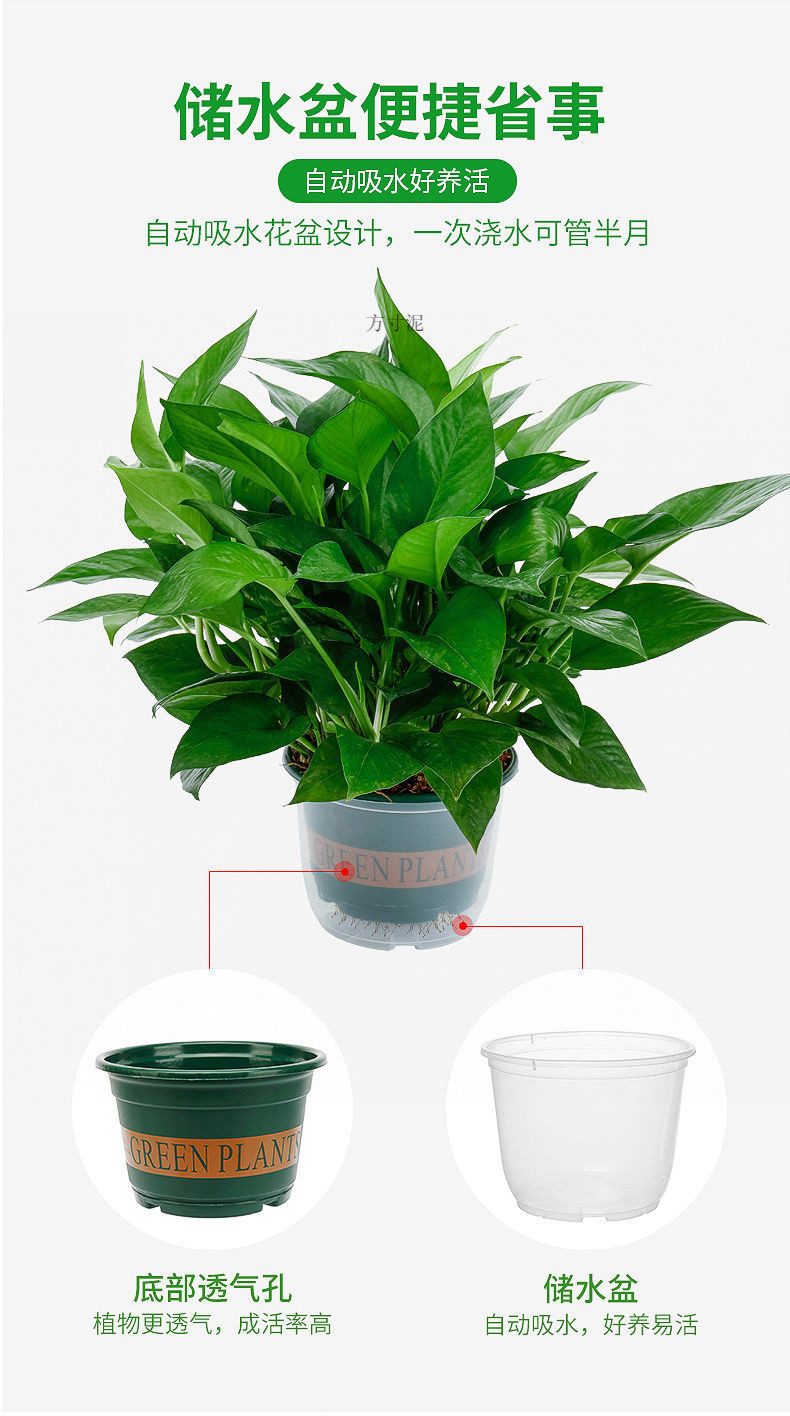 16436b72-8e24-4eee-be54-7f013ff06619.jpe