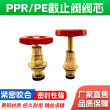 厂家直销PPR截止阀 纯铜阀芯4分 25 精品黄铜PE阀芯