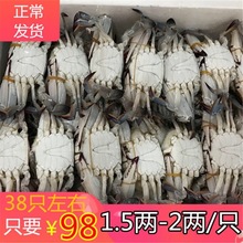 38只左右梭子蟹鲜活螃蟹新鲜海鲜冷冻速冻冰冻梭子蟹含箱10斤