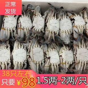 38ֻ��������з�r���з���r���r����ك���������з����10��