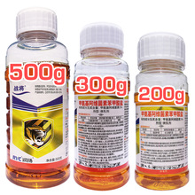 �����׾S�} �װ������S���ر������} ���ҹ�������߲˚��x��