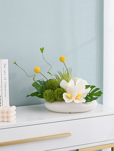 ?�Ƶ��A�����D�P���g�b������[�������[�������ˇ���h