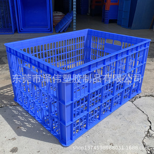 5#�z�� ���ϻj ���z���D�� ���z�̻j �߲˿� ���S���D