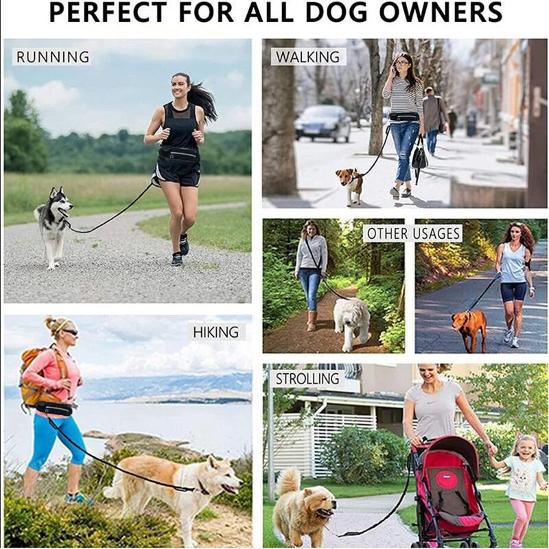 スポーツ アウトドア ランニング ウエストバッグ セット ペット用リード 犬用リード 犬用散歩用リード セット|undefined