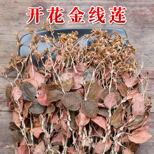 ���ڽ�ɏ�_�������5g���ｨ�Ͼ��ַ�Ұ���Nֲ���r���