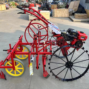 �t���Nֲ���Ÿ�Ĥ�C �����������Ĥ�C �������������wĤ�C