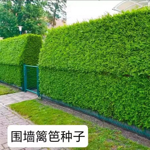 ���羳��̣��h�ʶ���N�� ��������N�� �G���N�� �h�ʇ���