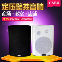 CABO/加宝KD-711/KD-712大電力壁掛けスピーカー30W/40W公共放送壁掛け音響