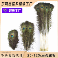 �S��ֱ�N25-130cm��ȸë��ƿ�廨��ˇƷ�b�ȸ��ë���l����ë