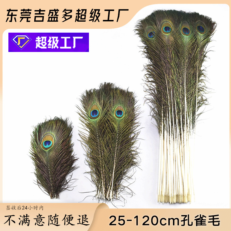 Factory direct 25-130cm peacock feather vase flower arrangement Crafts decorative peacock feathers wholesale real feathers
