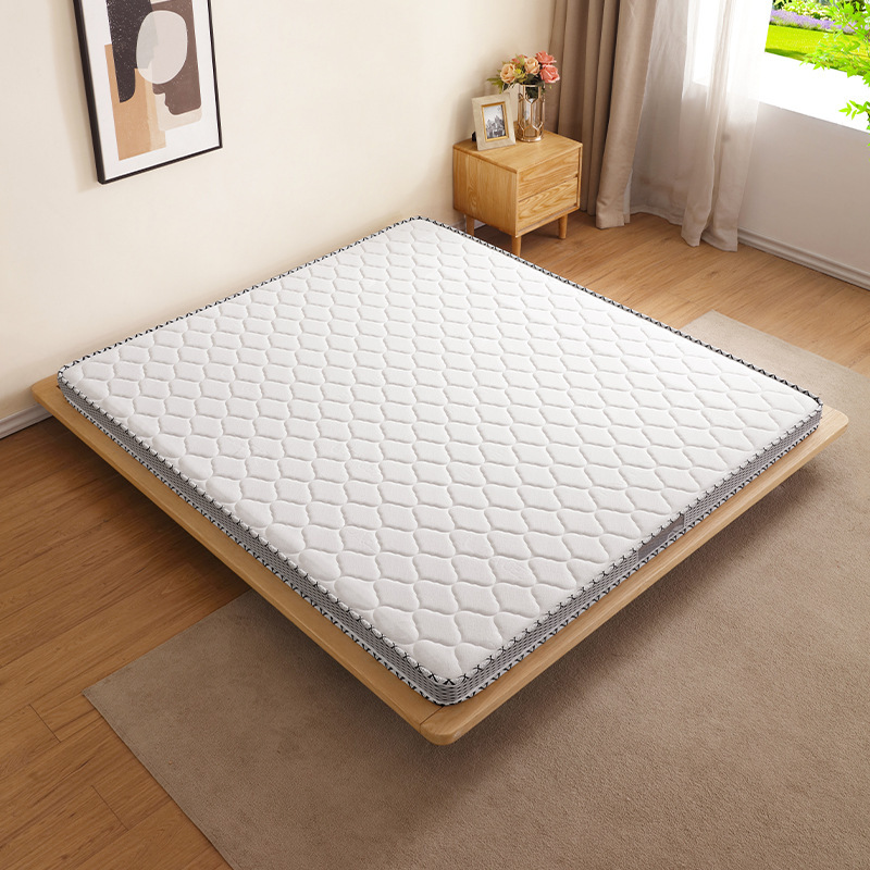 Coconut Palm Mattress 9cm Slow Spine Pressure Household 1.5m1.8m Independent Spring Double High Density Rebound Sponge Mattress