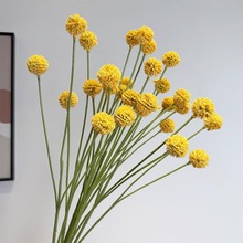 ����������S�����[��� 5�^��տ͏dܛ�b���Ϲ��[������Gֲ����