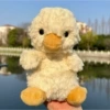 Sweet duck