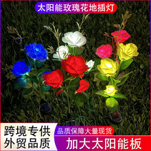 �羳���� led����õ�廨̫��ܟ�ͥԺ���@�����ˮ��ƺ�b��^��