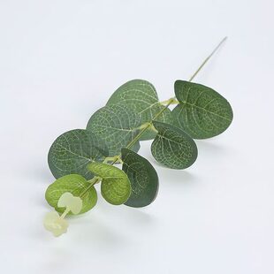 Money leaf cross-border green plant wedding flower arrangement Eucalyptus diy accessories decorative ornaments bouquet fake flowers simulation flower factory