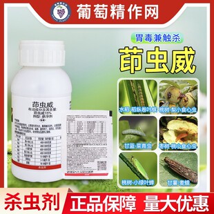 �����S�� ����15%���x��ˮ�����v���~�������x�Ҙ��rș���x��