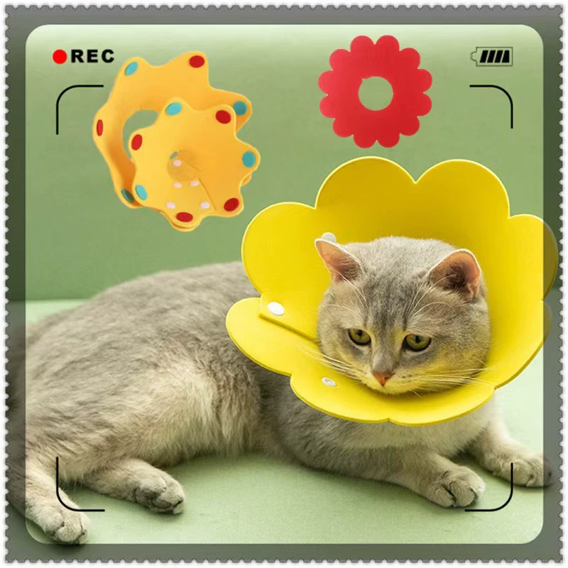 Ошейник для домашних животных Регулируемый ошейник Элизабет Войлок для домашних животных Ошейник для легких кошек Ошейник для восстановления после операции