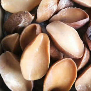 �S���U������ľ���U���l�S���U���lˮ�a���l���r�a��ֱ�Sֱ��