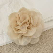 ���W�W�����w����ץ�A�l�Ů2025�¿�W�t���հl�A���X�����~�A��