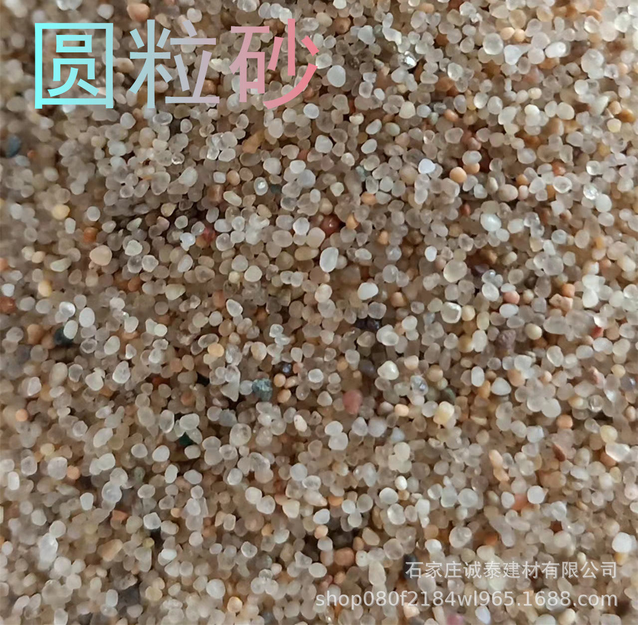 火了火了火广场舞王广成