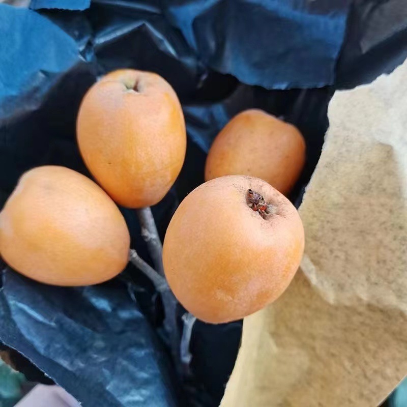 d65cd13b-1e3c-42a7-a8a9-3539048ef821.jpe