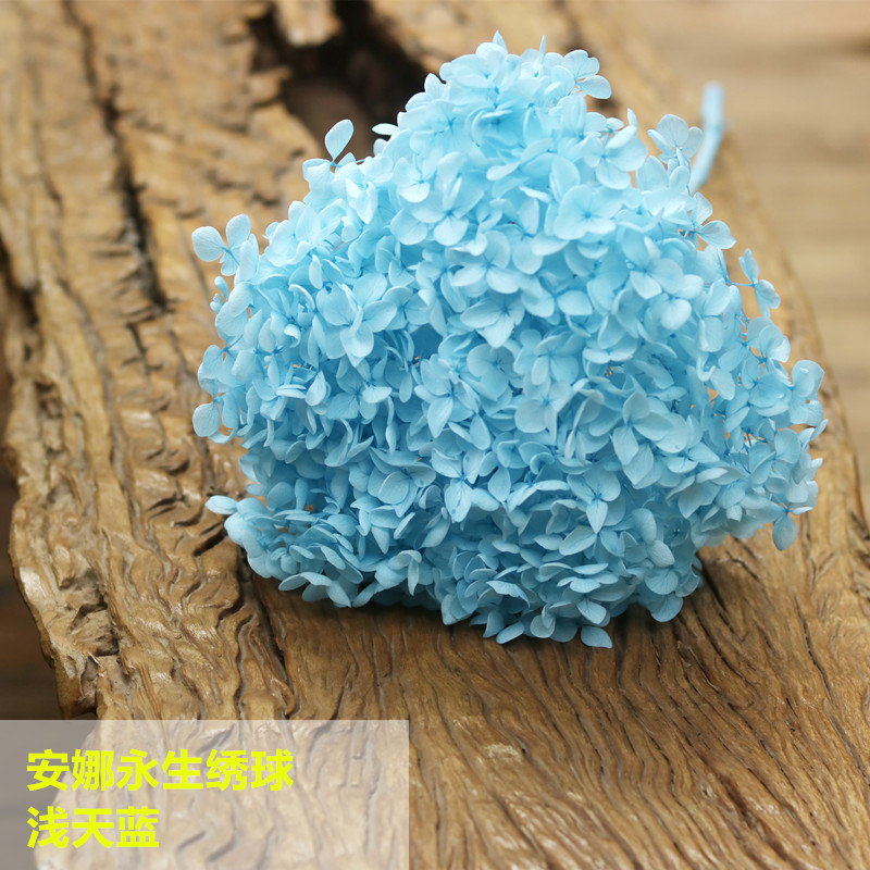Yunnan inmortalidad hojas de hortenida flor seca una rama decoración del hogar ornamentos hechos a mano ramo DIY material al por mayor