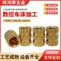 通孔镶嵌滚花注塑铜花母
