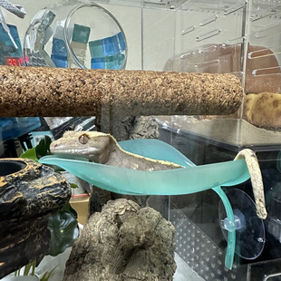 ���������~�Ә䗫�޽��،m���ܶ����B���쾰�������Pֲ��