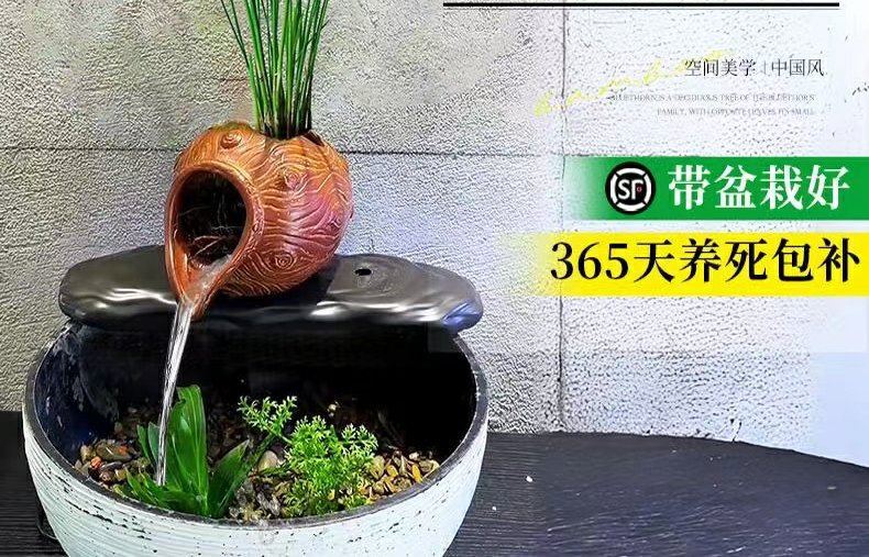 详情图