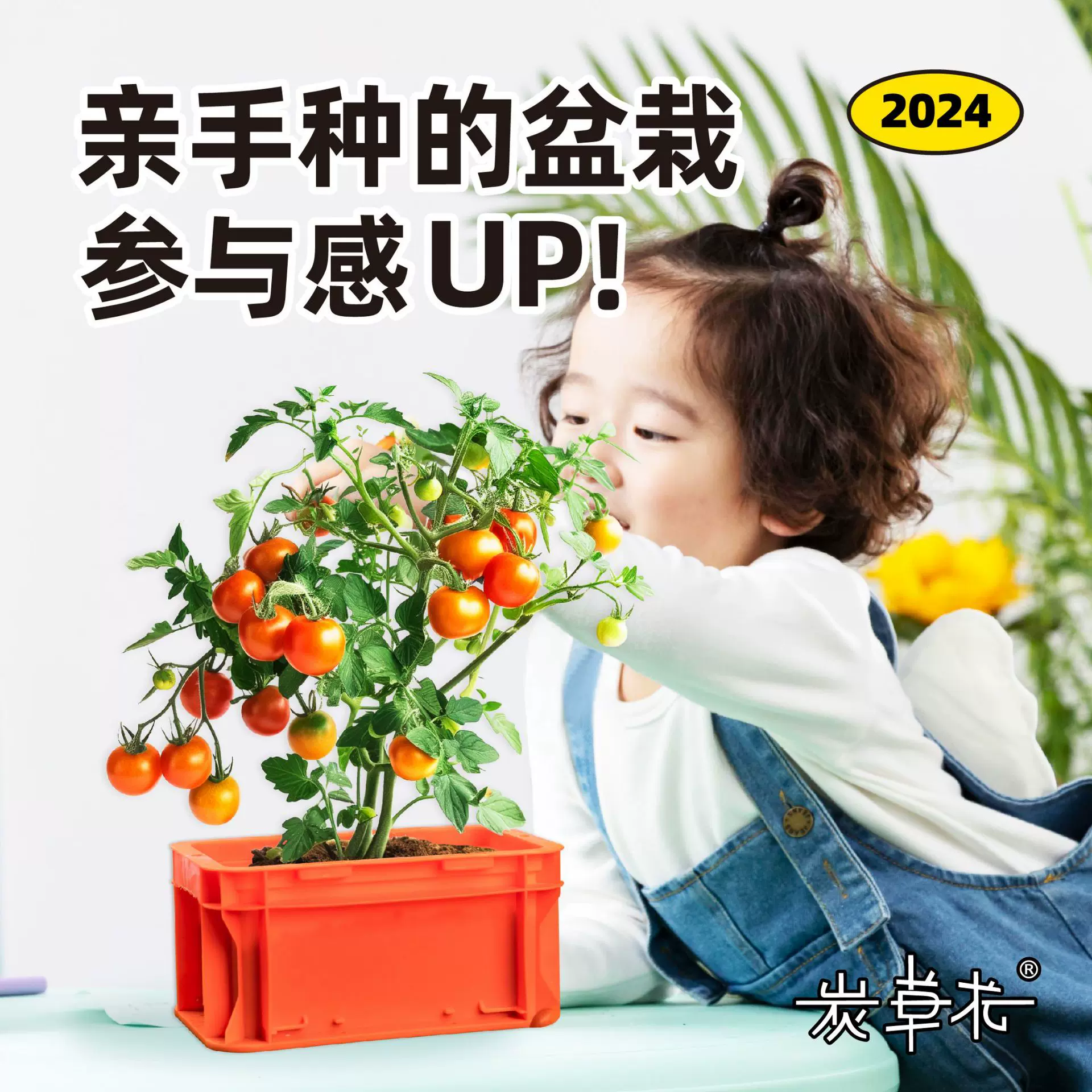 Ecoey儿童种植绿植小盆栽观察玩具diy花卉室内薄荷驱蚊草捕蝇草