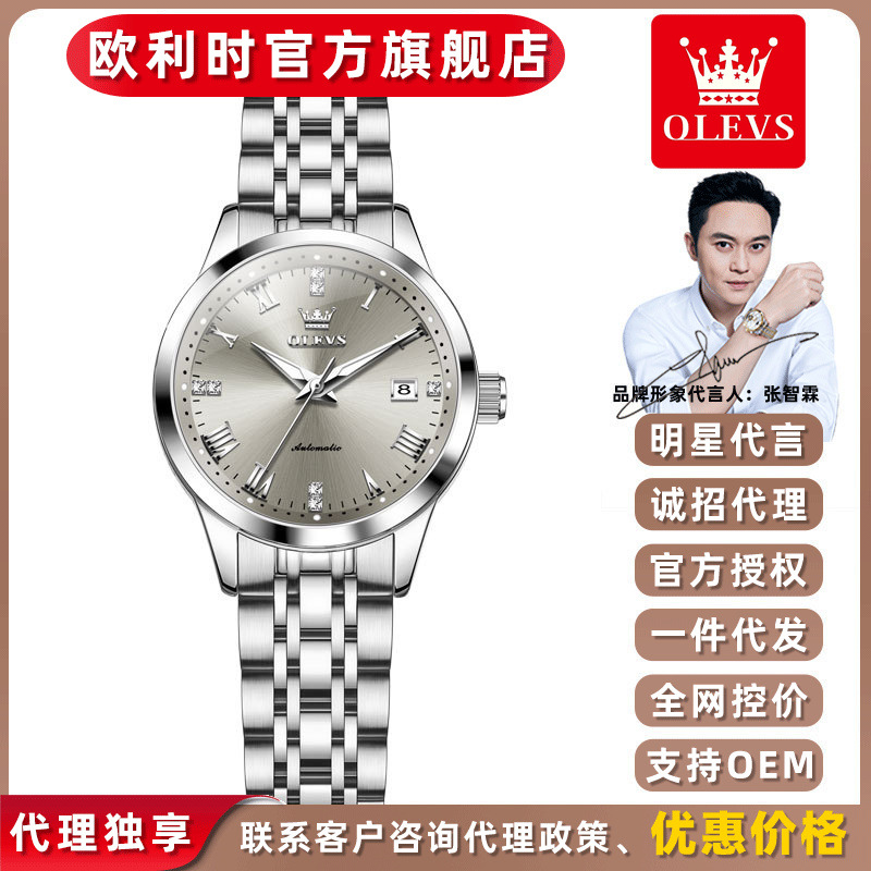 Oris Brand New Cross-Border Wholesale Dropshipping Fully Automatic Mechanical Women's Watch Versatile Waterproof Luminous Women's Watch