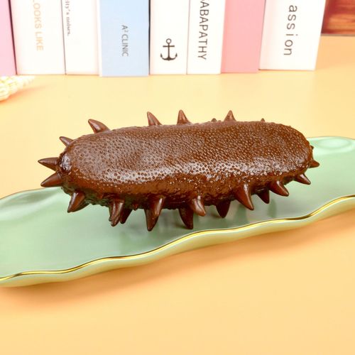 Simulated Sea Cucumber Model 3D Seafood Prop Children's Pretend Play Toy Eat-and-Play Kitchen Window Display Model Wholesale