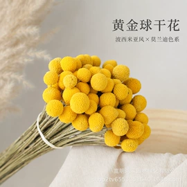 干花;永生花;香包/香囊