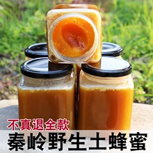 �r���؎X�����۰ٻ�������ȻҰ�������Ԯa�ٻ��۽Y������