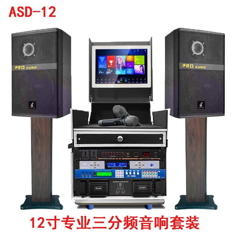 Mayorista 12 / 15 pulgadas altavoces profesionales del escenario amplificador de efectos de micrófono de música al aire libre K-canción conjunto de sonido