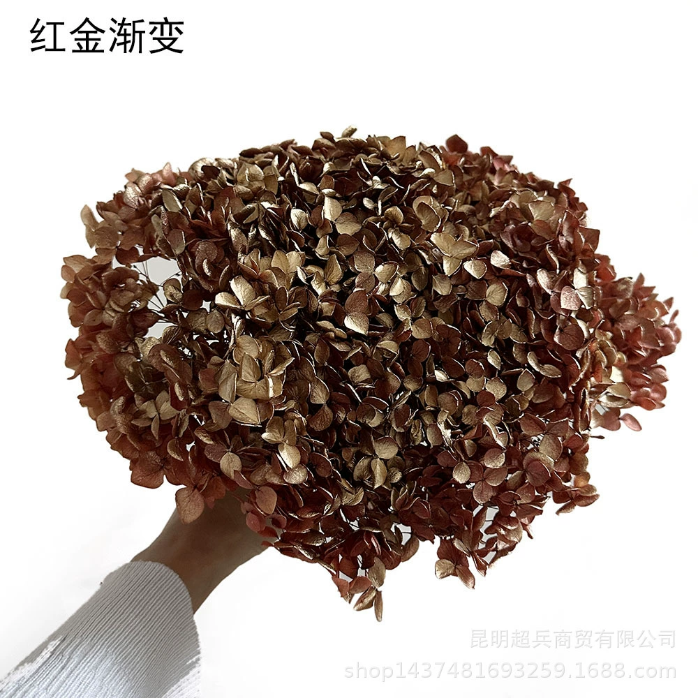 [Вечная Life Flower Hydrangea] Анна Градиентный цвет Лист Hydramid Книга цветов оптом DIY цветочная коробка материал для просмотра