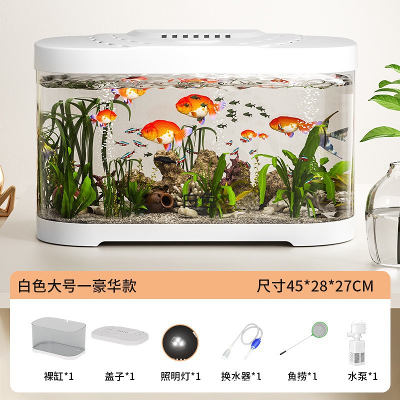 Nuevo tanque de peces transparente pequeño paisaje completo ecológico transparente casa sala de estar tanque de peces fábrica al por mayor