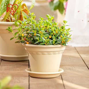 Alice Flower Pot Household Clearance Resin Plastic Flower Pot Green Aura Hydrangea Root-controlled Pot Large Diameter Flower Planting Pot